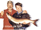 John and Larry Csonka