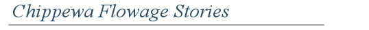 Chippewa Flowage and Hayward Stories