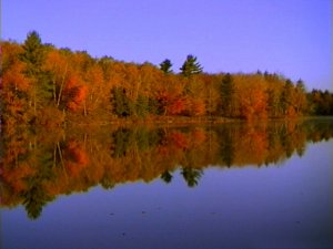 Seasonal changes hold the key to Big Chip’s secrets