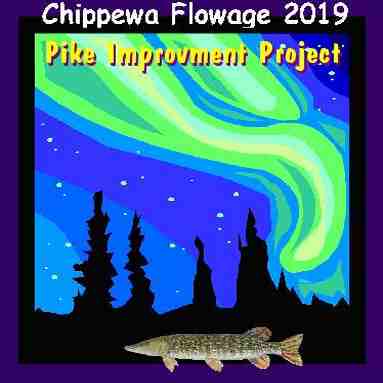 Why Harvest Pike? Everything you need to know about the “Pike Improvement Project 2019”