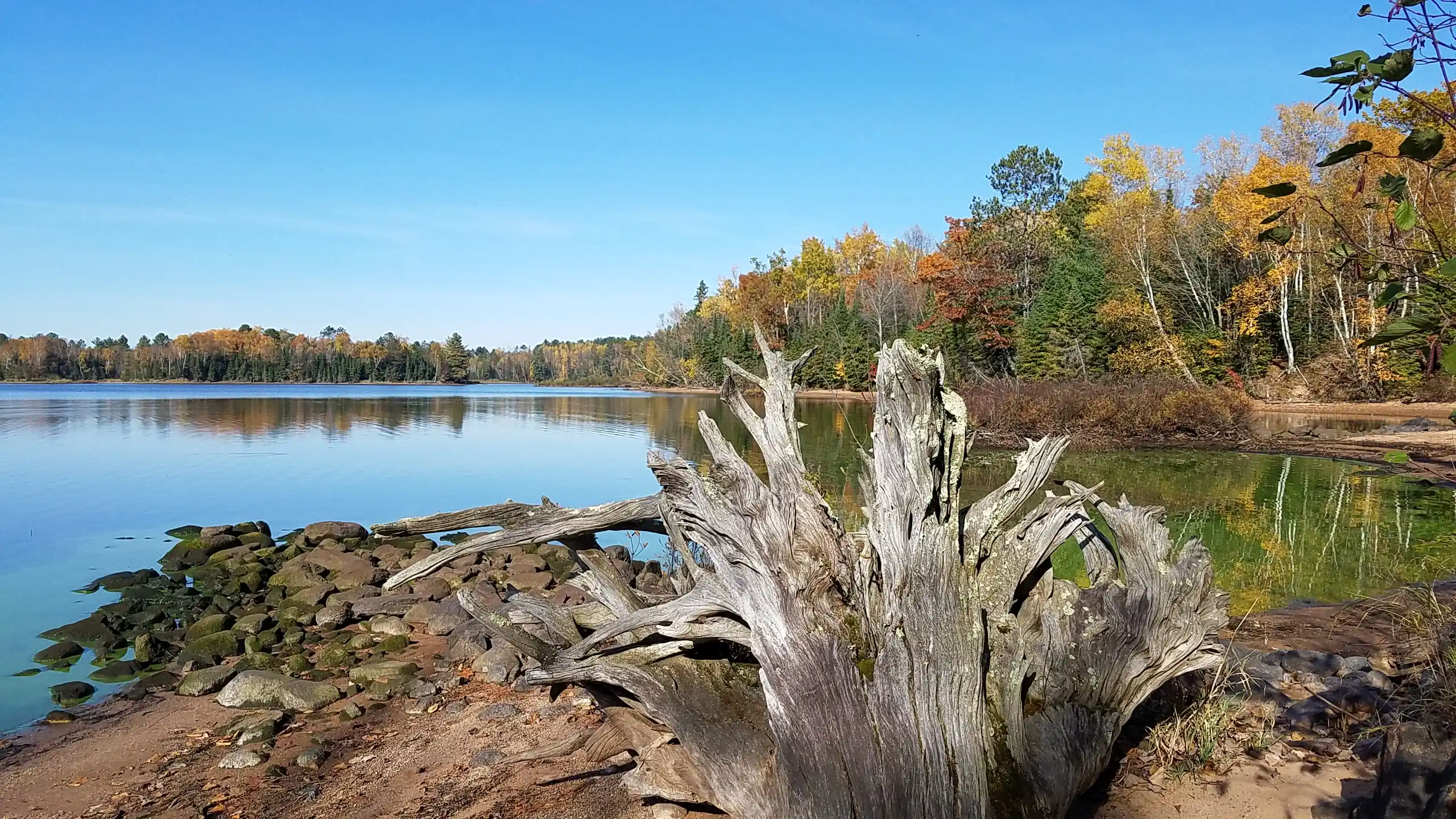 Lake Chippewa Flowage Driftwood Chippewa Flowage Lake Chippewa