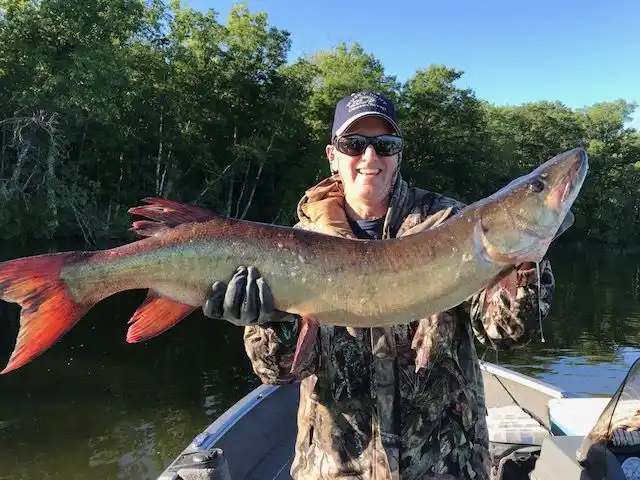 Chippewa Flowage Fishing Lake Chippewa Flowage Fishing