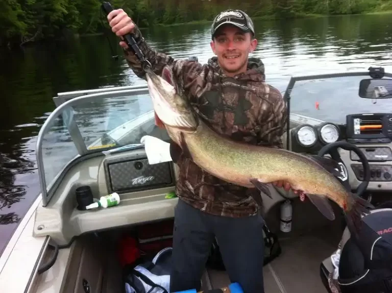 Chippewa Flowage Fishing Lake Chippewa Flowage Fishing