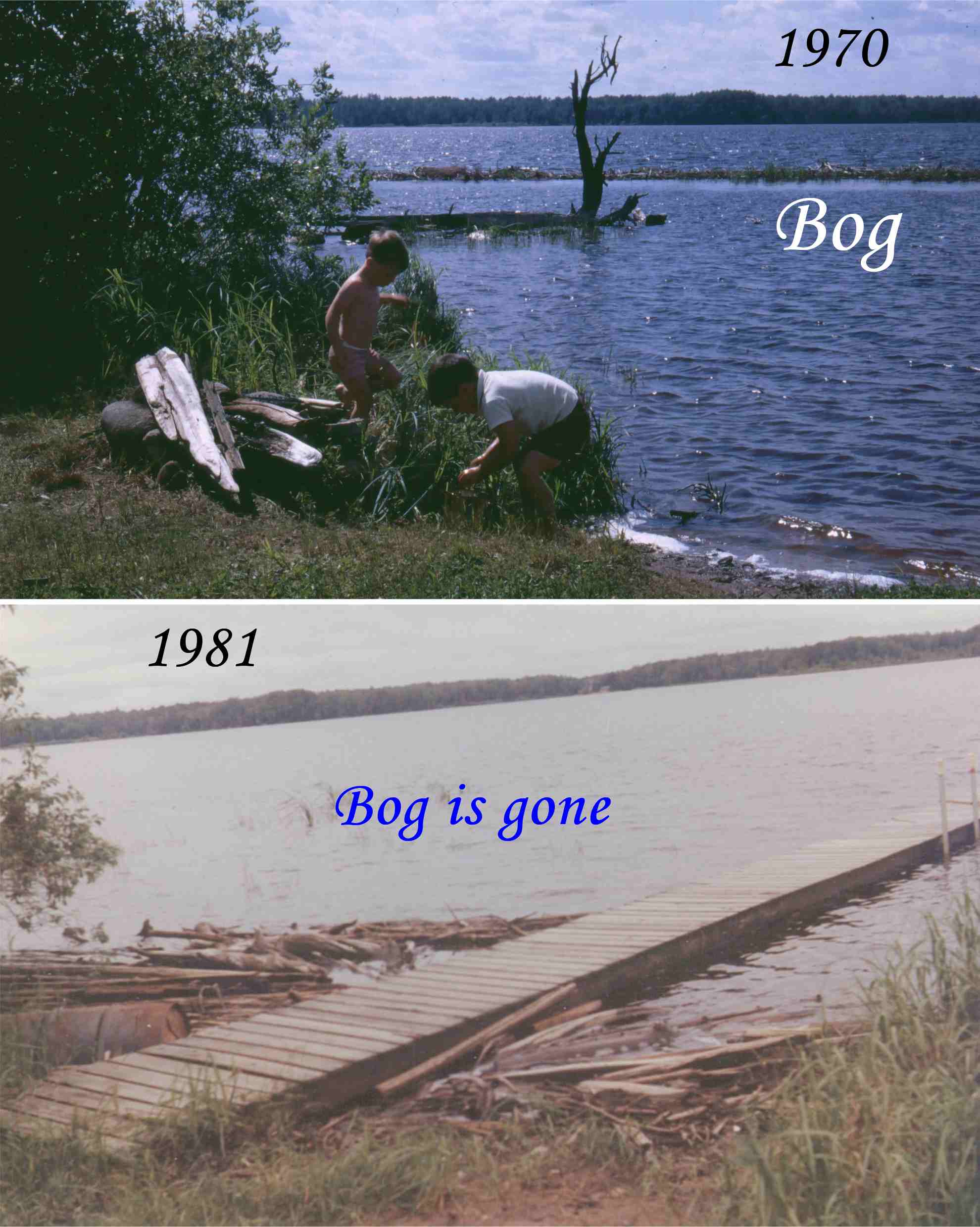 The Story about Bogs Chippewa Flowage Lake Chippewa Flowage