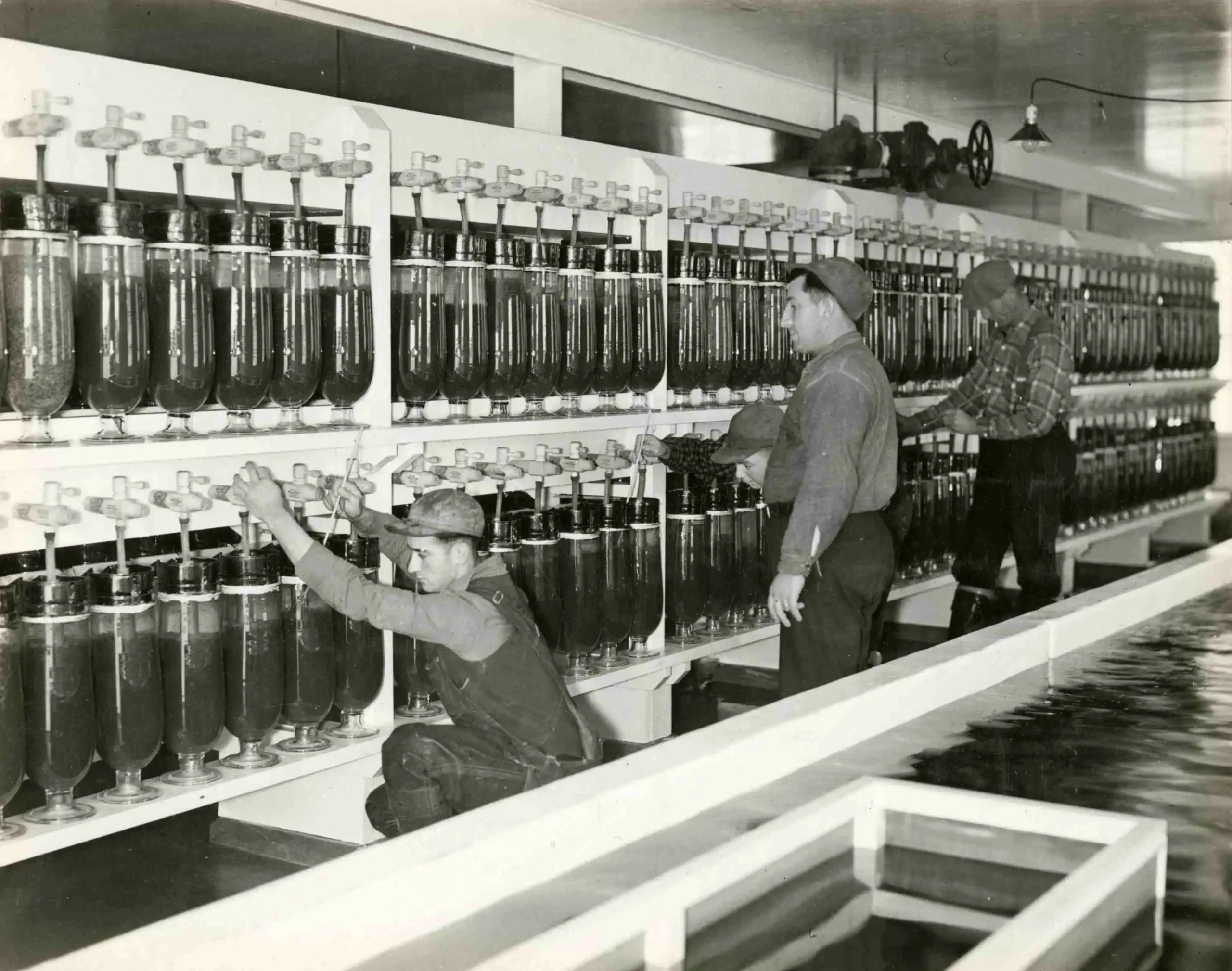 Chippewa Flowage Hatchery