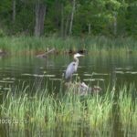 Fun on the Flowage