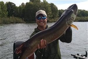 It's Fall - It's Musky Time!