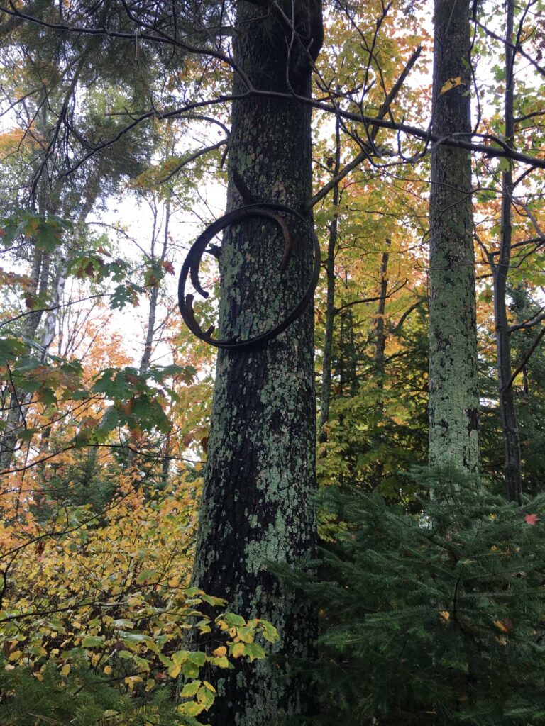 Wagon Wheel In Tree